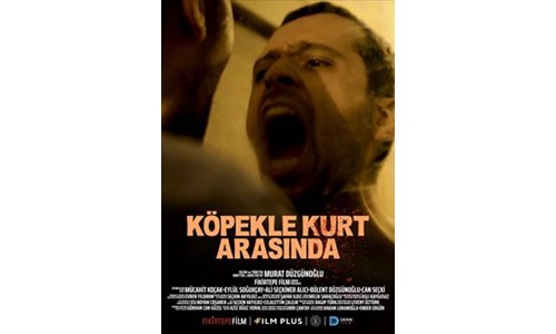 KÖPEKLE KURT ARASINDA